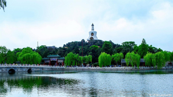 Las mejores ofertas de Financial Street Pekin