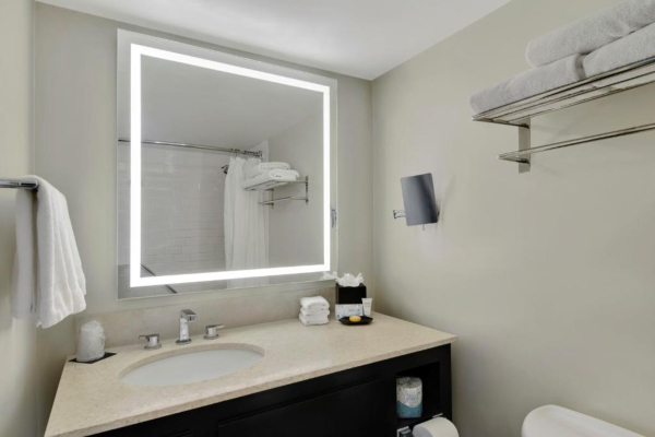 Las mejores ofertas de Hotel Tampa Riverwalk Tampa