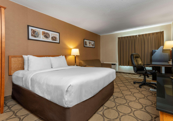 Las mejores ofertas de Comfort Inn Fredericton Fredericton