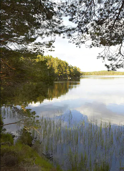 Las mejores ofertas de Boat Boat Of Garten