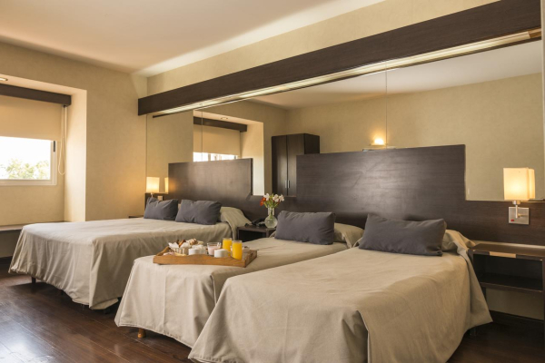 Las mejores ofertas de HATHOR HOTELS MENDOZA Mendoza