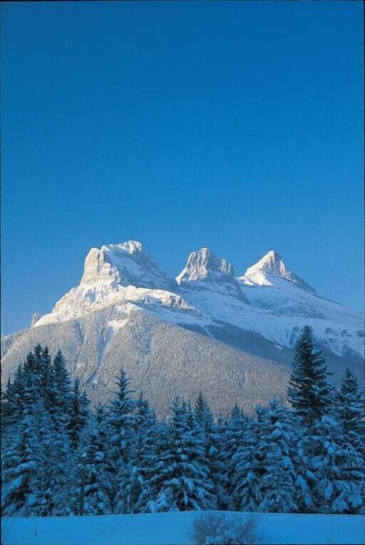 Las mejores ofertas de Canmore Inn & Suites Canmore 