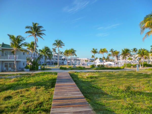 Las mejores ofertas de Tryp Cayo Coco Cayo Coco
