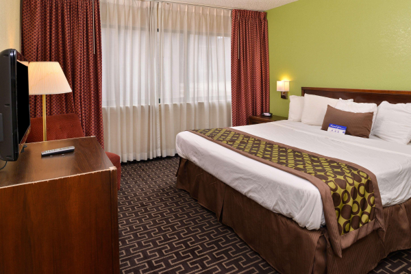 Las mejores ofertas de Qoya Hotel Curitiba, Curio Collection by Hilton Curitiba