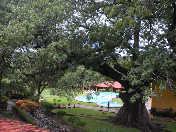 Las mejores ofertas de Mision Conca ARROYO SECO