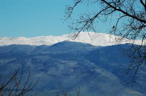 Las mejores ofertas de Kibbutz Kfar Kibbutz Almog