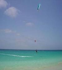 Las mejores ofertas de Sabura Santa Maria 