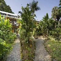 Las mejores ofertas de Villas Del Caribe Cahuita