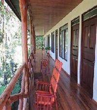 Las mejores ofertas de Tabulia Tree Manuel Antonio