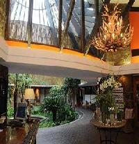 Las mejores ofertas de Protea the Winkler White River