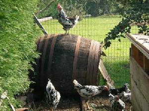 Las mejores ofertas de Alavera Villaviciosa