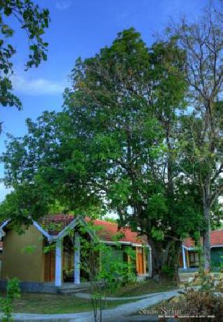 Las mejores ofertas de Saunter Paradise Hotel Sigiriya