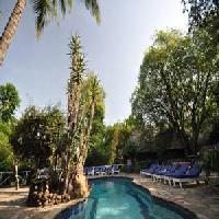 Las mejores ofertas de FIG TREE CAMP Masai Mara