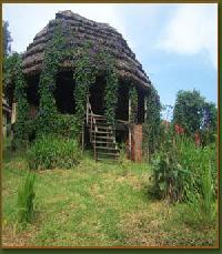 Las mejores ofertas de Cuckooland  Kanungu 