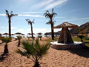 Sol y Mar Sea Star