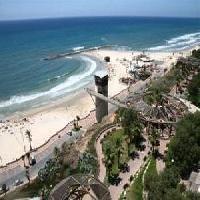 Las mejores ofertas de Margoa Ramla 