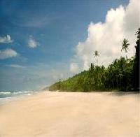 Las mejores ofertas de Esencia Nicoya