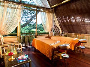 Kupu Kupu Barong Villas & Tree Spa