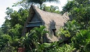 Kupu Kupu Barong Villas & Tree Spa
