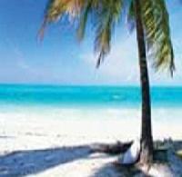 Las mejores ofertas de Monmot La Grand Anse