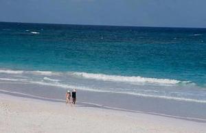 Las mejores ofertas de Coral Sands Harbour Island