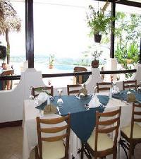 Las mejores ofertas de Whales and Dolphins Isla Uvita