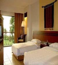 Las mejores ofertas de Bintang Flores Sumbawa 