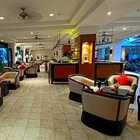 Las mejores ofertas de Sedona Manado Palu