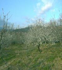 Las mejores ofertas de Mirador de Las Casas Casas Del Castañar 