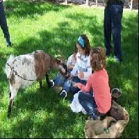 Las mejores ofertas de Torre Forcheron Amposta 