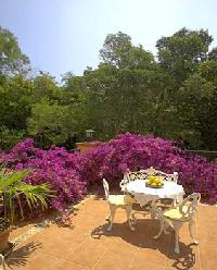 Las mejores ofertas de Villa Carmen Alcanar 