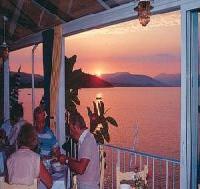 Las mejores ofertas de Tolo Tolon