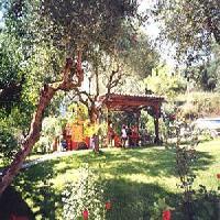 Las mejores ofertas de Amazona Kefalonia