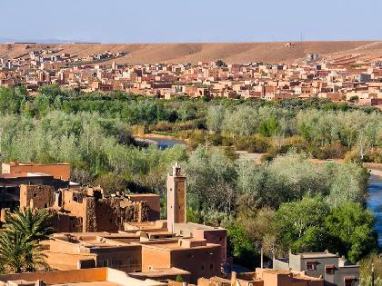 DUNAS Y OASIS EN 4X4 