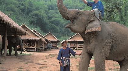 NORTE DE TAILANDIA CON PHUKET NORTE DE TAILANDIA CON PHUKET