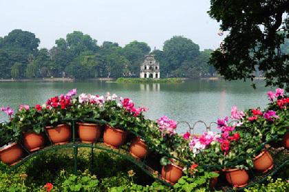 RAICES DE VIETNAM Y SAPA 