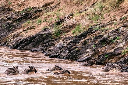 KENIA SEMANA SANTA Y PUENTE DE MAYO 