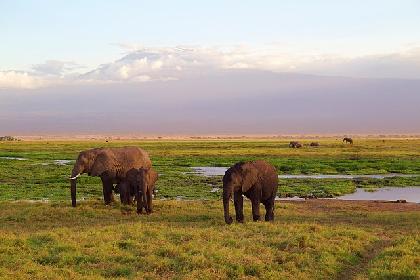 KENIA SEMANA SANTA Y PUENTE DE MAYO 
