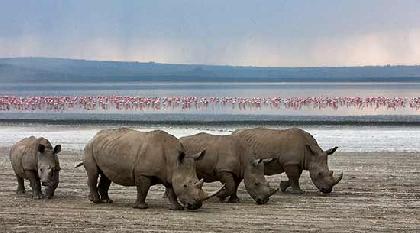 KENIA SEMANA SANTA Y PUENTE DE MAYO 