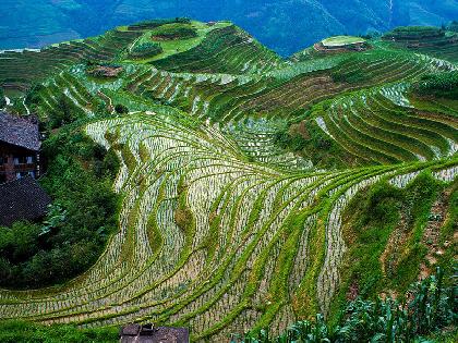 BELLEZAS DE CHINA - FIN CANTON 