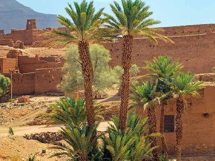 DUNAS Y OASIS EN 4X4 