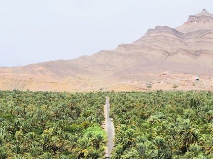 DUNAS Y OASIS EN 4X4 