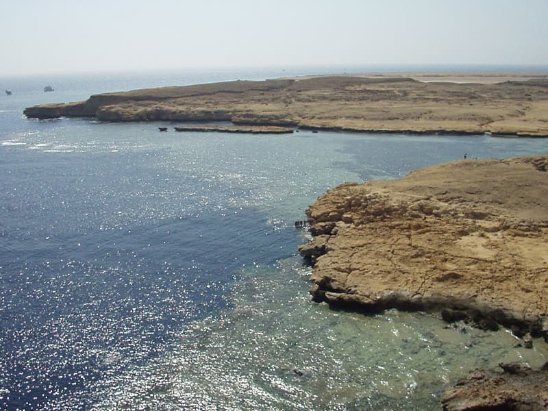 PARAISOS DEL MAR ROJO