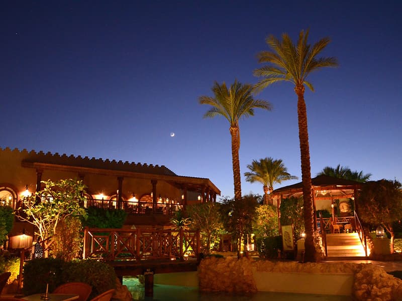 PARAISOS DEL MAR ROJO