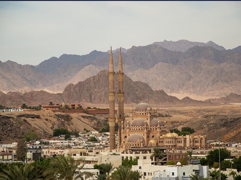 PARAISOS DEL MAR ROJO