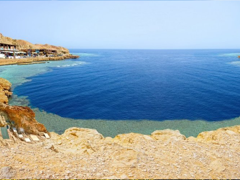 PARAISOS DEL MAR ROJO