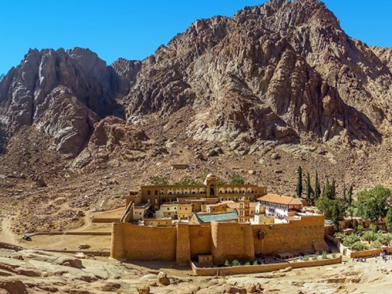 PARAISOS DEL MAR ROJO