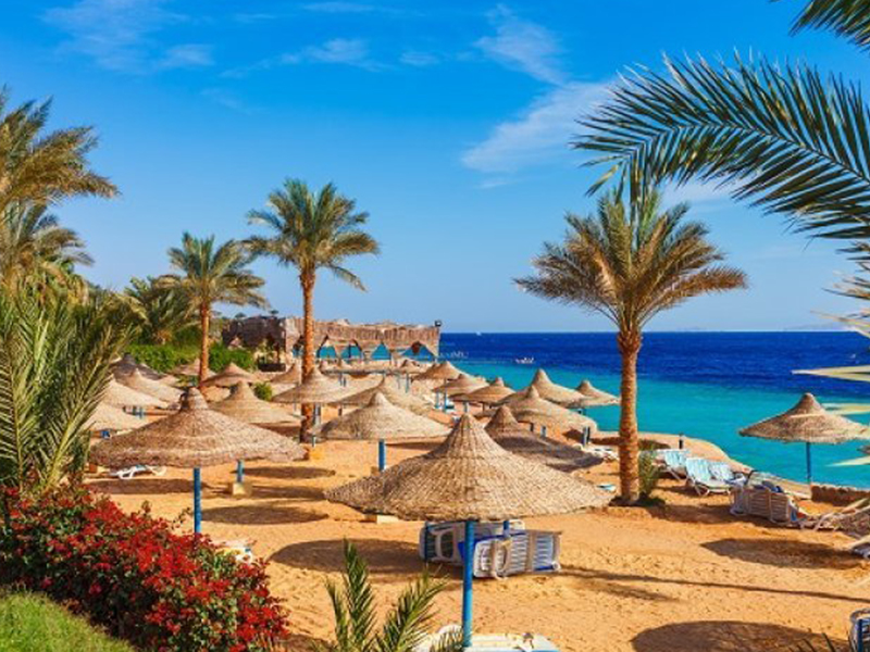 PARAISOS DEL MAR ROJO