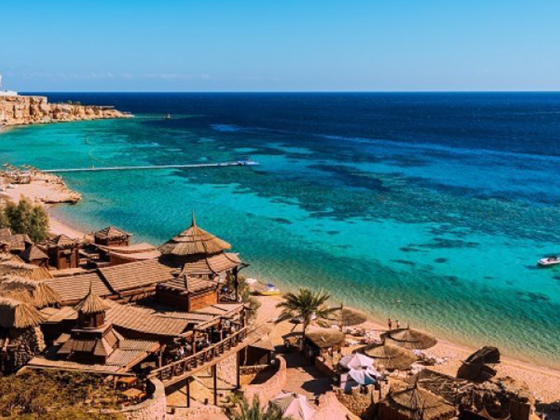 PARAISOS DEL MAR ROJO