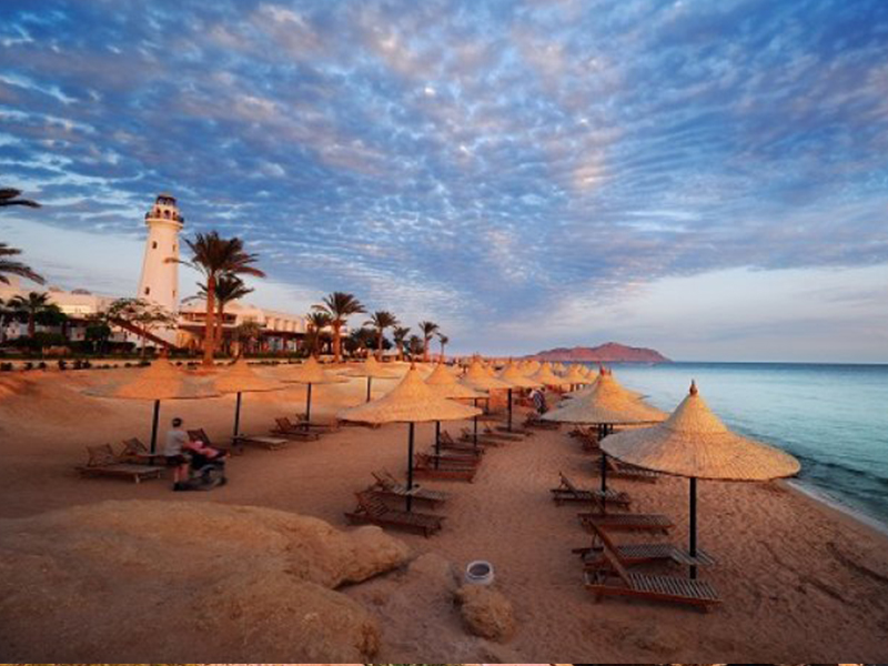PARAISOS DEL MAR ROJO